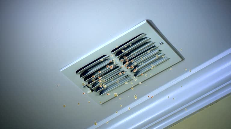 Best Ductwork Cleaning Services  in Pearl River, LA