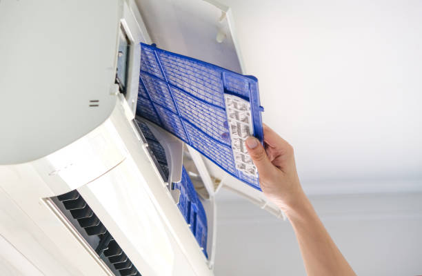 Best Air Duct Mold Removal  in Pearl River, LA
